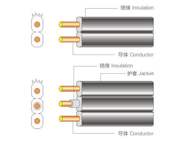 SPT-1